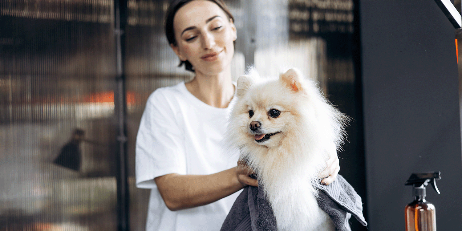 How to start a dog grooming business