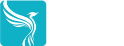 Your Company Formations